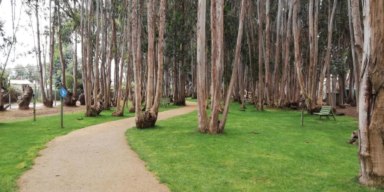 Espectacular Departamento Norte Algarrobo
