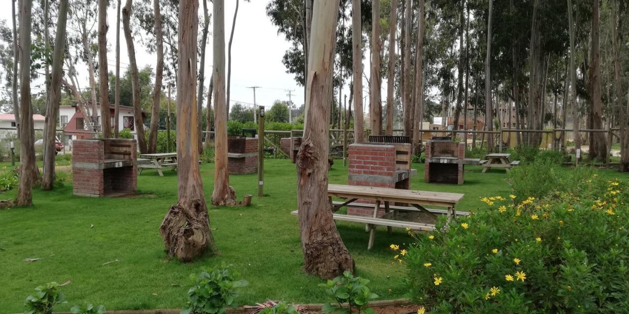 Espectacular Departamento Norte Apartamento Algarrobo