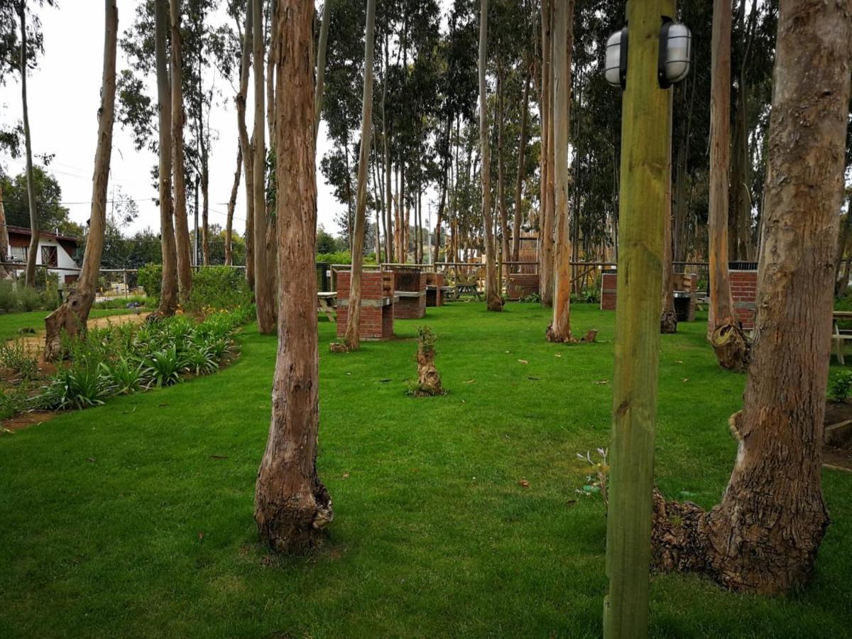 Espectacular Departamento Norte Algarrobo